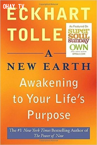 THUCTINHMUCDICHSONG-A-NEW-EARTH_ECKHART-TOLL.jpg