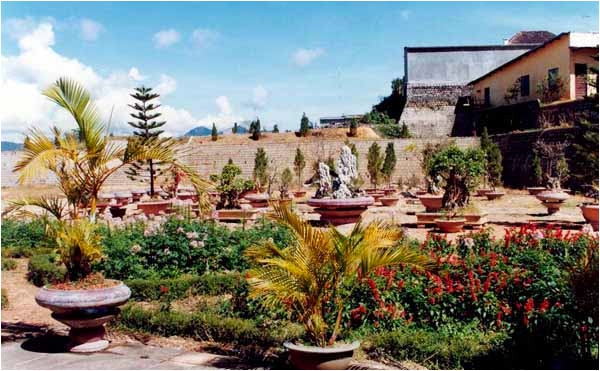 Vườn chùa