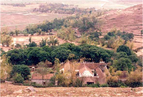 Toàn cảnh chùa