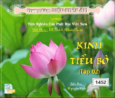 KinhTieuBo.jpg (2)