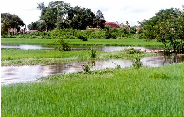 Toàn cảnh chùa