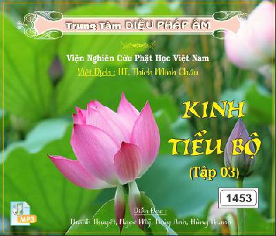 KinhTieuBo.jpg (3)