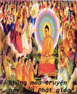 nhung-mau-chuyen-hay-phat-giao_nhieuTG.png