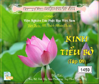 KinhTieuBo.jpg (6)