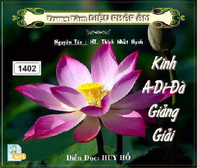 KinhADiDaGiangGiai.jpg
