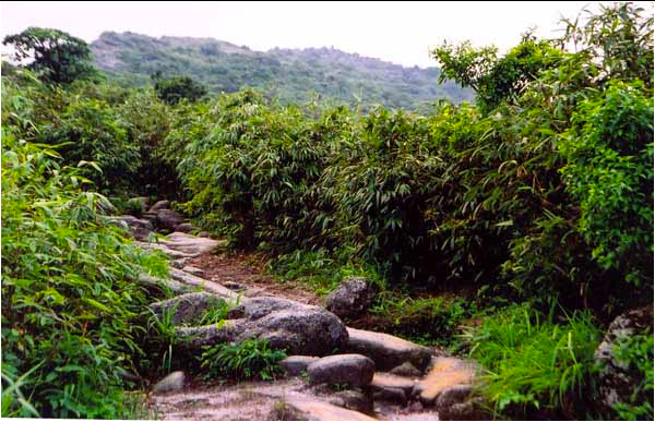 Chùa Vân Tiêu - Đường lên chùa
