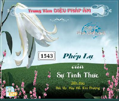 PhepLaCuaSuTinhThuc.jpg