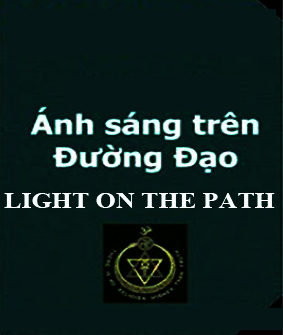 anhsangtrenduongdao.png