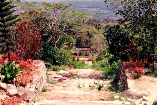 Toàn cảnh chùa