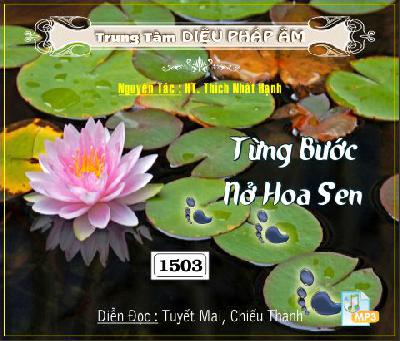 TungBuocNoHoaSen.jpg