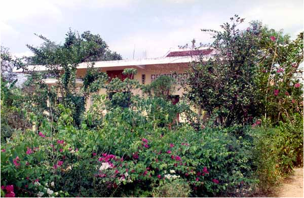 Chùa Tôn Hạnh năm 1990