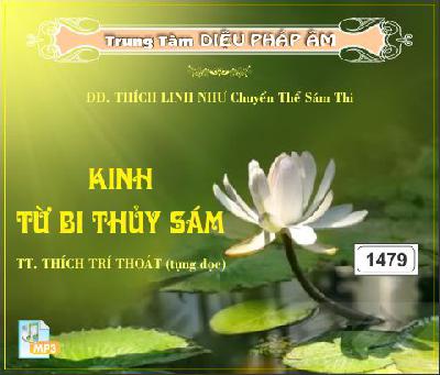 KinhTuBiThuySam.jpg