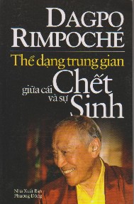 thedangtrunggiangiuachetvasong-bia-med.jpg